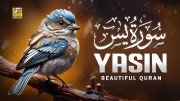 Blissful Recitation of Surah Yasin (Yaseen) سورة يس to Stir Emotions | Zikrullah TV
