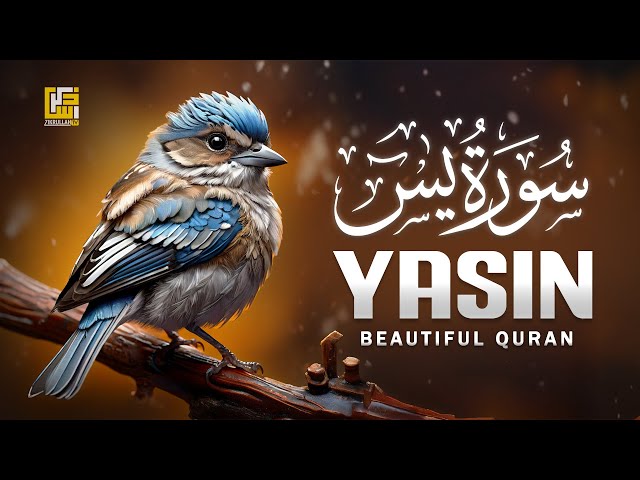 Blissful Recitation of Surah Yasin (Yaseen) سورة يس to Stir Emotions | Zikrullah TV class=