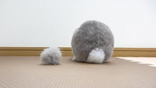 うさぎさんから毛玉が取れました