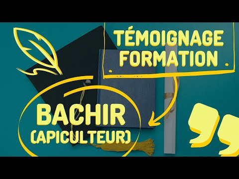 Témoignage d’élève