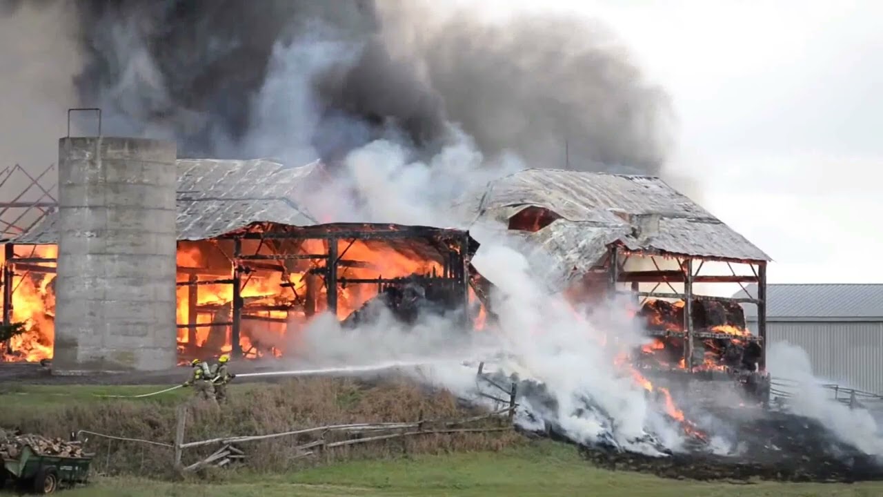 She's my Wild Rose - A Rock Stevens Original