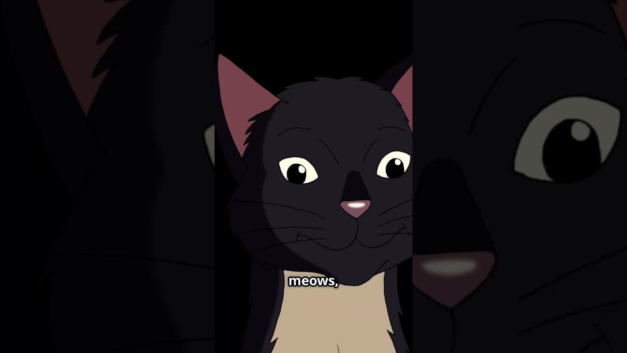 Is Your Cat Sick 5 Subtle Signs To Watch For Shorts