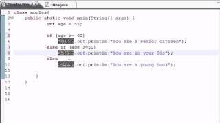 Celebrity # Java Programming Tutorial   19   else if Statement Net Worth