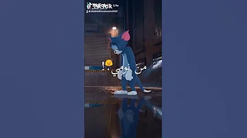 اغنيه محطوط و القلب شايل بيموت 