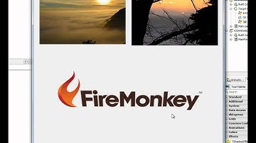 FireMonkey Technical Workshop: Create Windows and Mac Applications from a Single Codebase