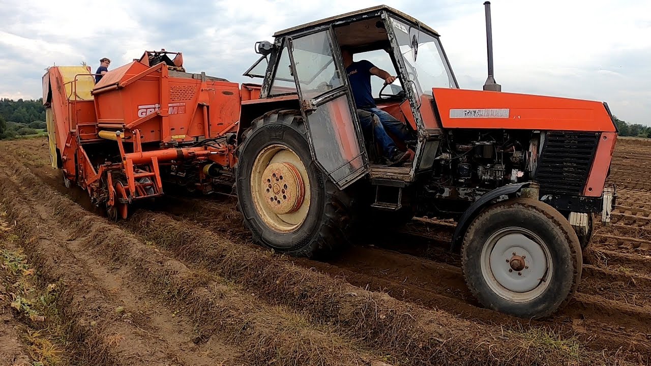 Królowa Anna dzięki ciężkiemu Ursusowi z Grimme SE 75-30