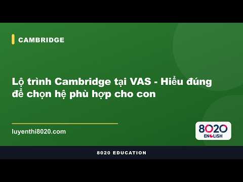 Lộ trình Cambridge tại VAS — chọn hệ phù hợp cho con