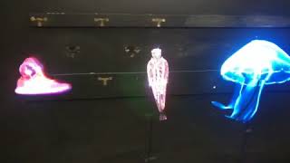 3D Holographic display fan