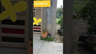 Đất Trung Tâm Đường 24 Nha Trang Cách Chợ Đầm 400M