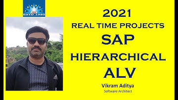 SAP Hierarchical  ALV