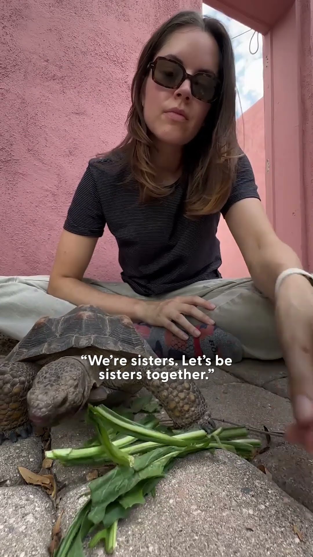 30-Year-Old Tortoise Guides Her Mom On Daily Walks | The Dodo