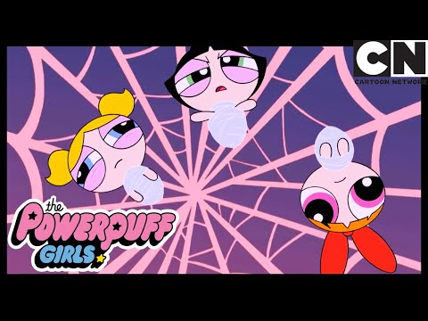 Паутина Любви | Суперкрошки | Cartoon Network