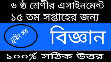 ৬ ষ্ঠ শ্রেণীর এসাইনমেন্ট ১৫ তম সপ্তাহের জন্য ||||Class 6 Assignment | 15th Week  ||||