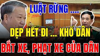 Tin Tức Việt Nam Mới Nhất Ngày 08/02/2026 ✈ Tin Nóng Chính Trị Việt Nam 24h Qua #thoisu24h #vncnews