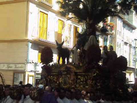 Real Cofradía de Nuestro Padre Jesús a su Entrada en Jerusalén y María Santísima del Amparo