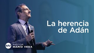 La herencia de Adán | Romanos 5:1217 | Estudio Bíblico