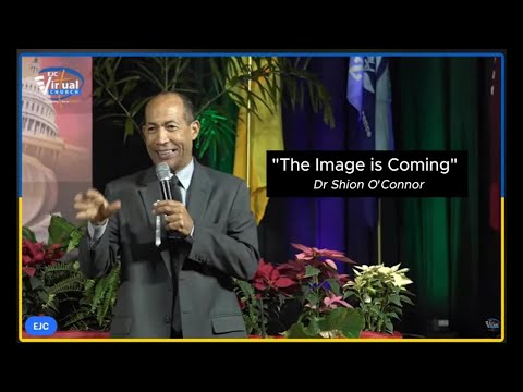 The Image Is Coming by Dr. Shion O'Connor