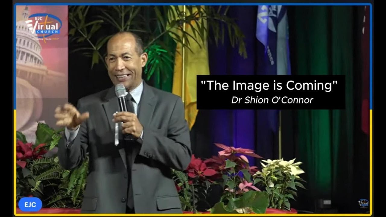 The Image Is Coming by Dr. Shion O'Connor