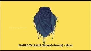 Maula ya Salli - Muza (Slowed Reverb) | Arabic Nasheed | Astroboy Musick