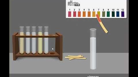 DEMO Interactive Animation/Virtual Lab: Acids and Bases