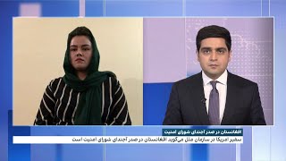 افغانستان در صدر آجندای شورای امنیت