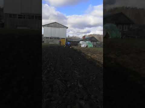 Минитрактор русич 244