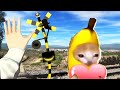 バナナ猫と踏切カンカン