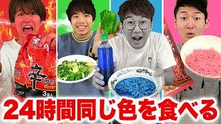 【対決】24時間ルーレットで決めた色の食べ物だけしか食べられないチャレンジやってみた！Eating Only ONE Color of Food for 24 Hours