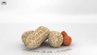 Peanuts 3D model by 3DModels.org
