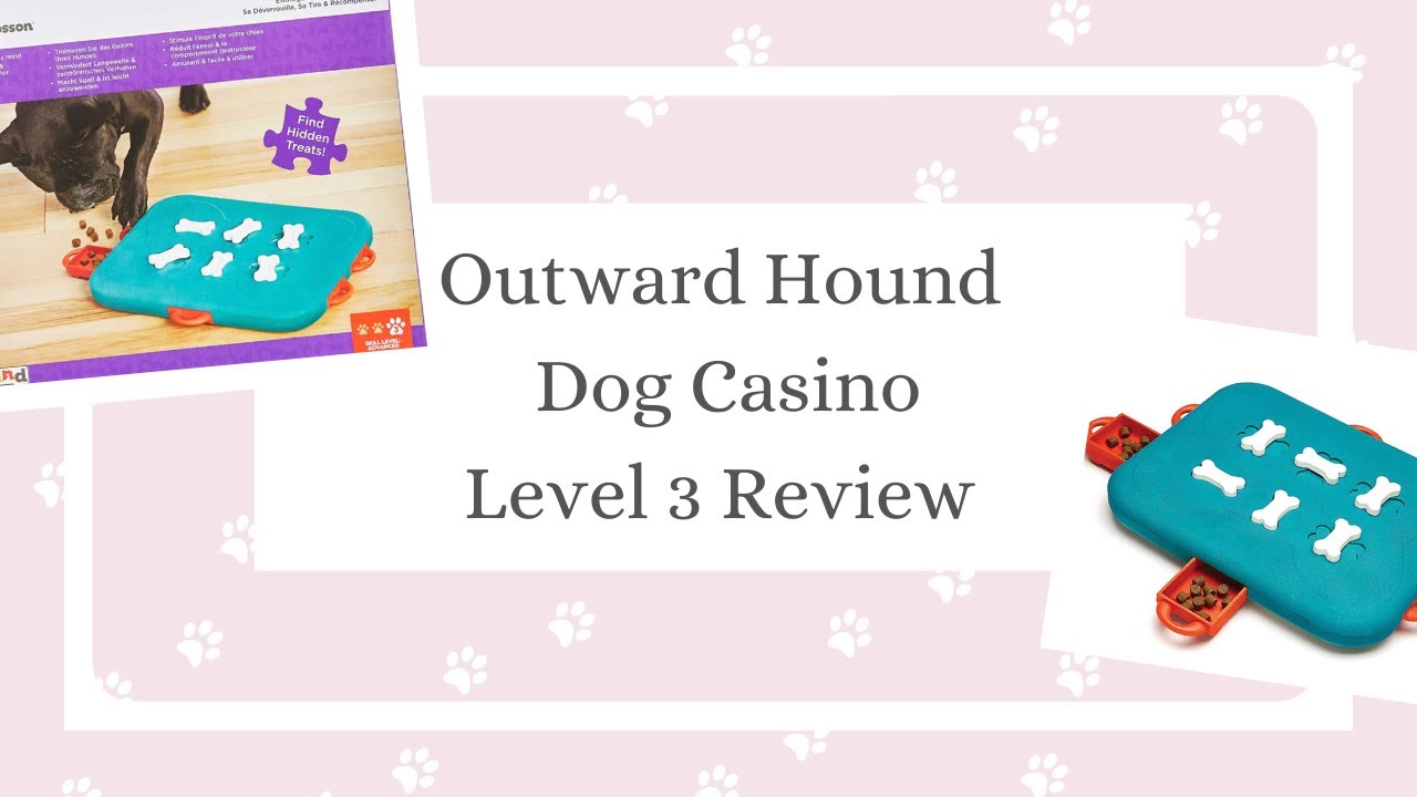 Outward Hound Dog Puzzle Casino, Level 3