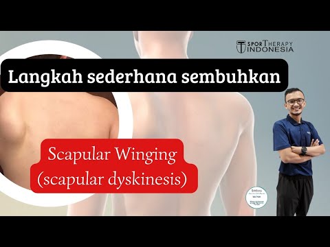 Scapular Winging (Scapular dyskinesis) Therapy | Bimbimjosh