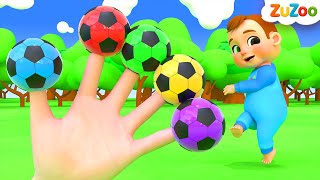 कलर बॉल फिंगर फ़ैमिली | Color Ball Finger Family | ZuZoo Hindi Rhymes