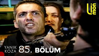 Yanık Koza - 85. Bölüm