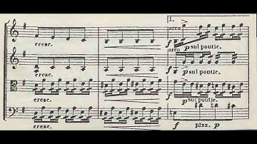 Roman Statkowski - String Quartet no. 5 in E-Minor Op. 40 (Camertata SQ)