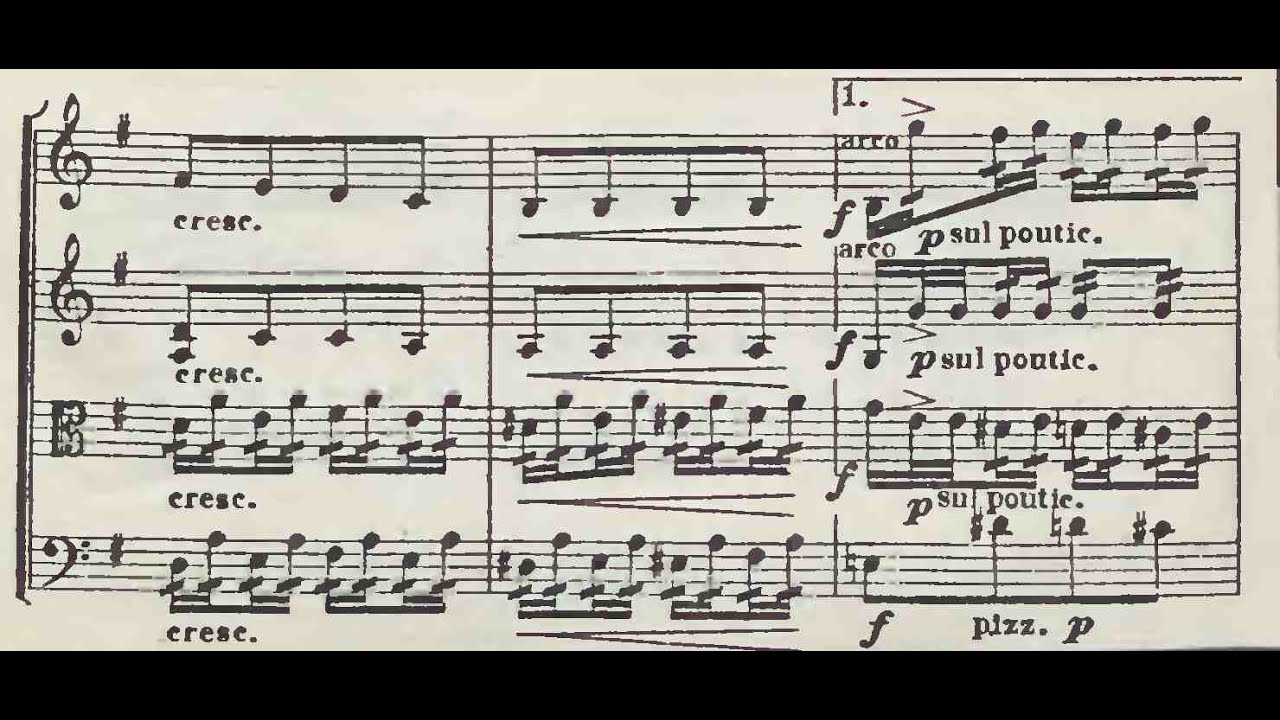 Roman Statkowski - String Quartet no. 5 in E-Minor Op. 40 (Camertata SQ)