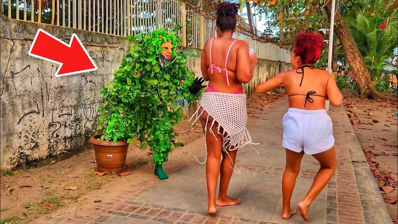 TROLLEI ELAS DE NOVO - PEGADINHA HOMEM PLANTA