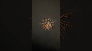 Strobe rocket to willow! I really love these strobe rockets #fireworks #islandpyro #pyrotechnics Net Worth