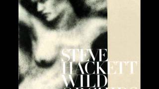 Video thumbnail of "Steve Hackett - She Moves In Memories"