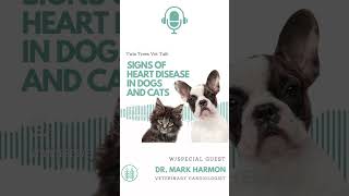 NEW EPISODE: Signs Of Heart Disease In Dogs And Cats │Twin Trees Vet Talk (FREE VET ADVICE PODCAST)
