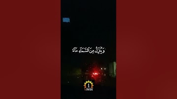 ومن آياته يريكم البرق خوفا وطمعا - رعد الكردي