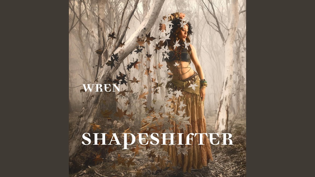 在 YouTube 上观看 Shapeshifter