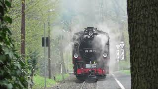 Lössnitzdackel auf dem Weg nach Radeberg