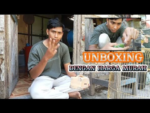 UNBOXING BURUNG CUCAK