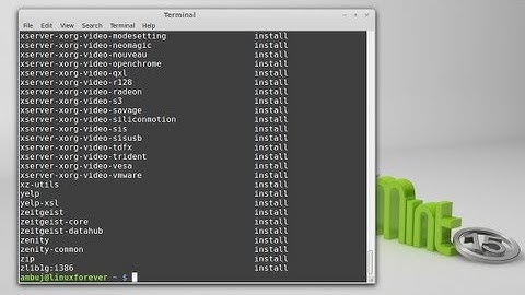 How to list all installed packages in Linux Mint 15 [Command-line]