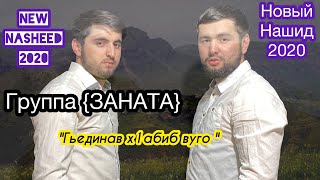 Группа Заната \