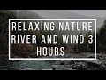 Relaxing Nature River and Wind 3 Hours | Nature with River and Wind for Sleep and Relaxation