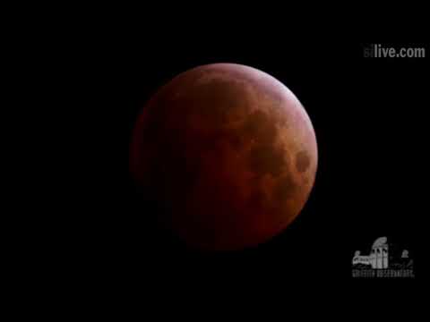Video: Cosa C'è Da Sapere Sul Super Blue Blood Moon Di Gennaio