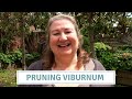 Pruning Viburnum Trees