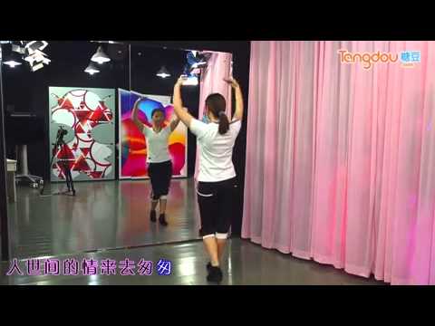 醉相思 糖豆广场舞课堂 20140310