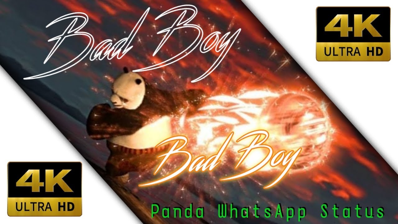 Kung fu Panda 4k WhatsApp status _bad boy_ 